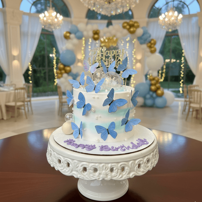 cute butterfly cake cute butterfly cake