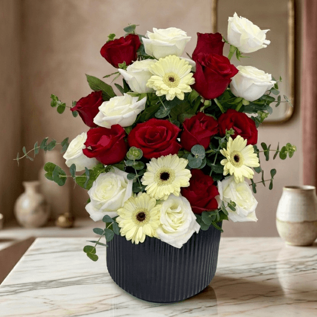 red white roses delight