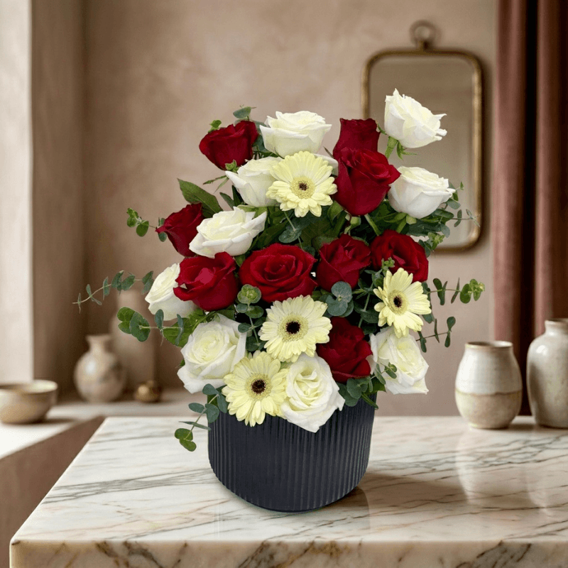 red white roses delight