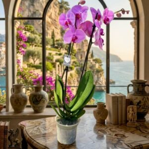 purple large orchid flower