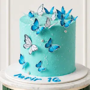 sky blue butterfly cake