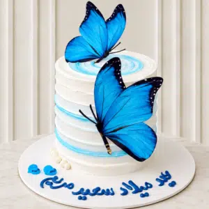 Elegant Butterfly Cake